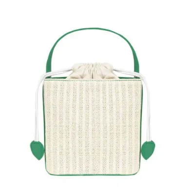 Color Accent Wicker Bag