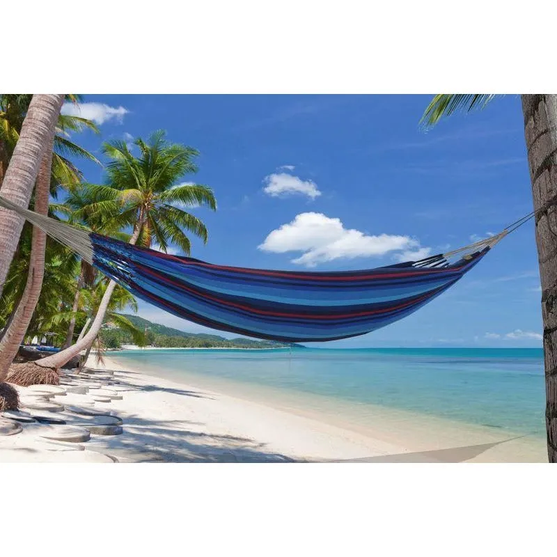 Iguana Hammock - Ocean